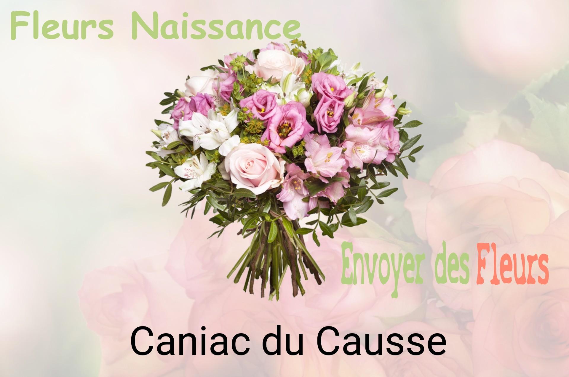 Bouquet de fleurs de naissance livré à Caniac-du-Causse