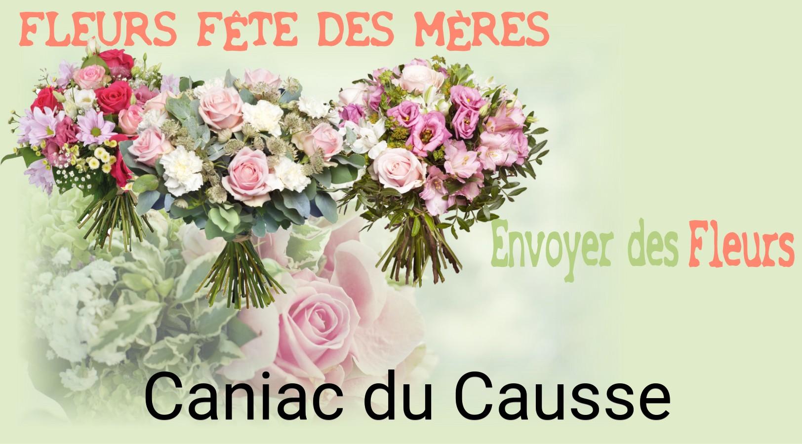 Bouquet de Fête des Mères livré à Caniac-du-Causse